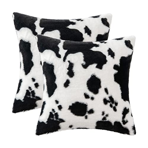 Black& White Cow