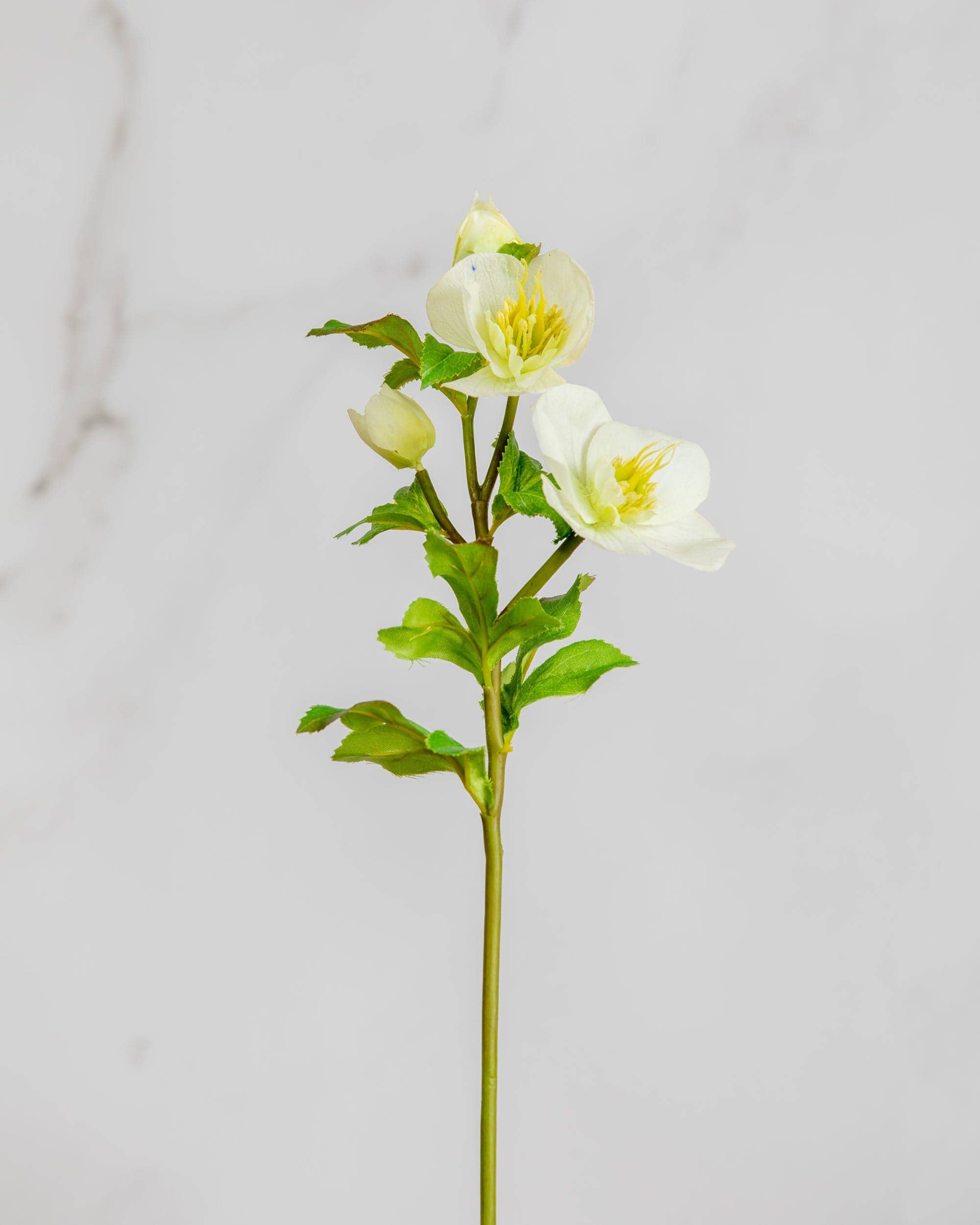Artificial White Hellebore Flowers - 18 Stems Fake Hellebores for Home Decor, Wedding Centerpieces, and Floral Arrangements