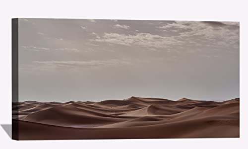 Desert Landscape Morning