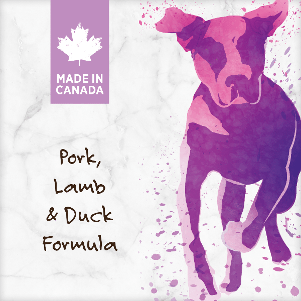 Nutrience Grain-Free Pork, Lamb & Duck Dry Dog Food - 10kg Bag | High-Protein Natural Recipe for Adult Dogs | Perfect for Sensitive Stomachs & Active Pets