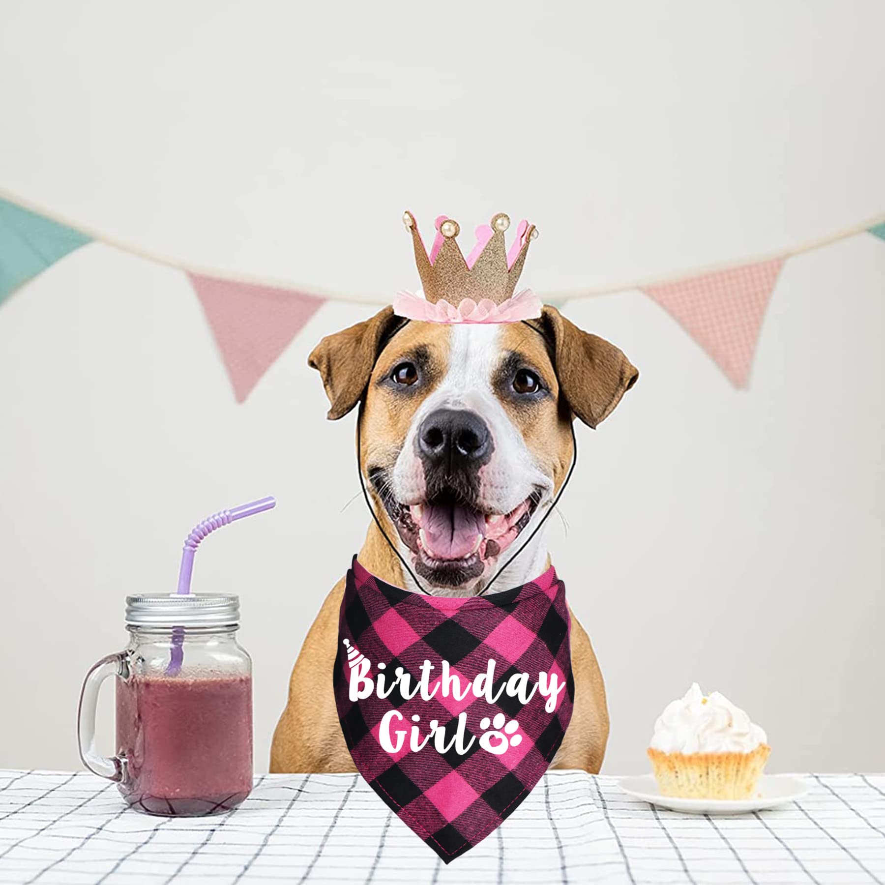 JOTFA Plaid Dog Birthday Bandana - Pink Pet Bandana for Birthday Party, Photo Shoot & Special Occasions | Dog Birthday Party Supplies & Accessories