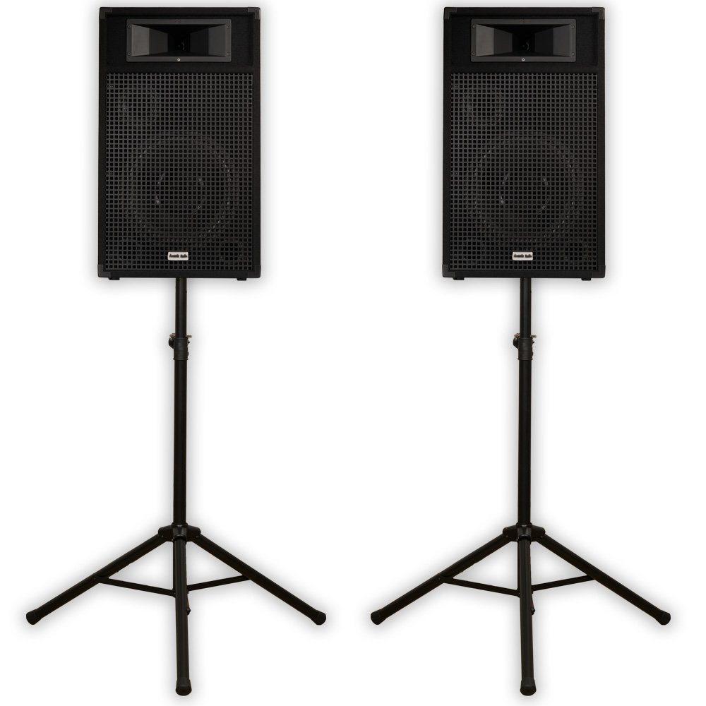 Acoustic Audio BR12 Passive 12
