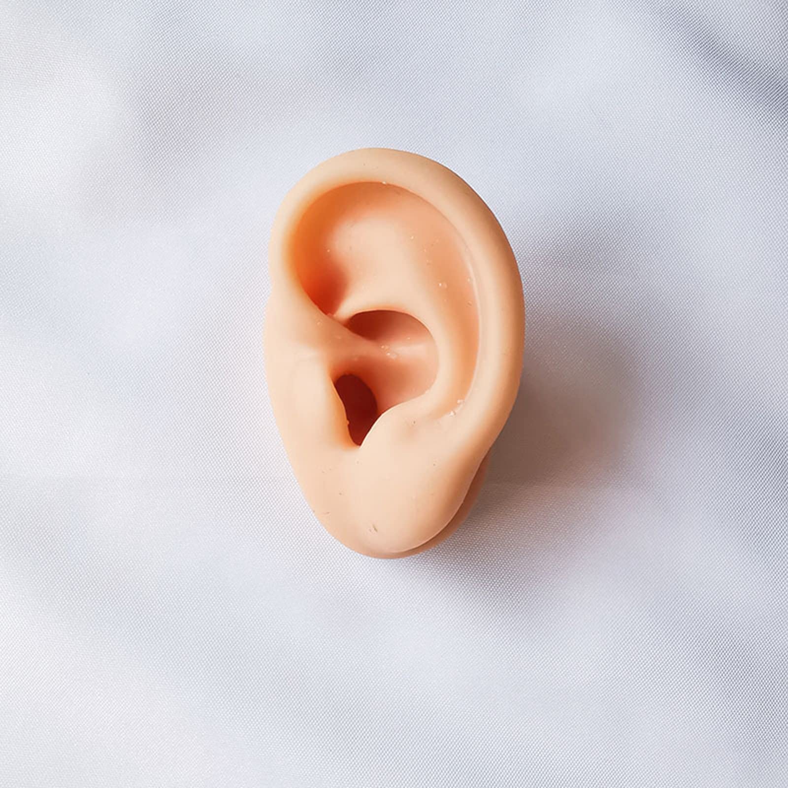 Realistic Human Ear Model - 1 Pair of Highly Detailed Silicone Ear Models for Acupuncture Training, Earring Display, Headset Fitting & Medical Education - Perfect for Acupuncturists, Jewelry Stores & Audiologists