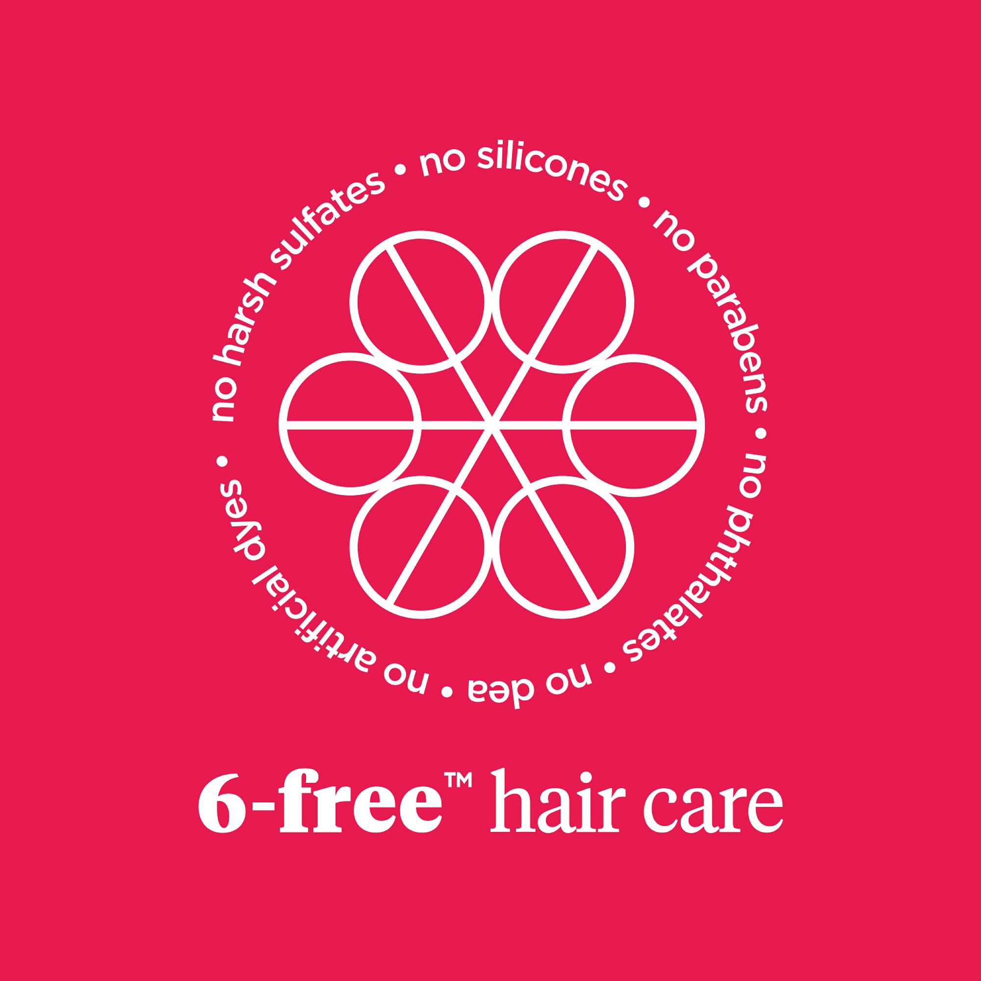 Briogeo Don't Despair, Repair! Super Moisture Shampoo for Dry Damaged Hair - Argan Oil Infused Protein Shampoo & Hair Treatment | Vegan & Cruelty-Free | Deep Hydration for Color-Treated, Frizzy & Brittle Hair