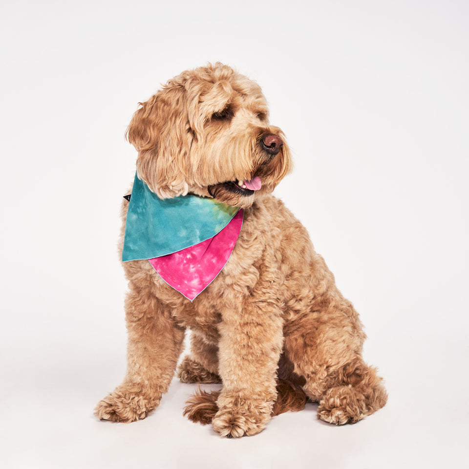 Jolie Tie Dye Dog Bandana - Stylish Pet Accessory for Small & Large Dogs - Perfect for Walks, Photos & Special Occasions