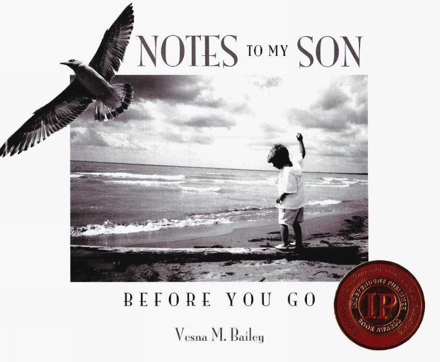 Notes To My Son Before You Go - Heartfelt Letters & Life Advice for College, Military, or Moving Away - Perfect Graduation Gift for Sons