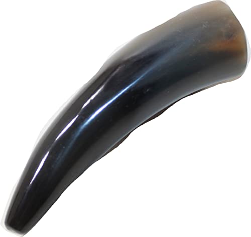 Small Polished Cow Horn #2625 - Natural, Durable & Unique for Jewelry Making, Crafts, and Home Decor