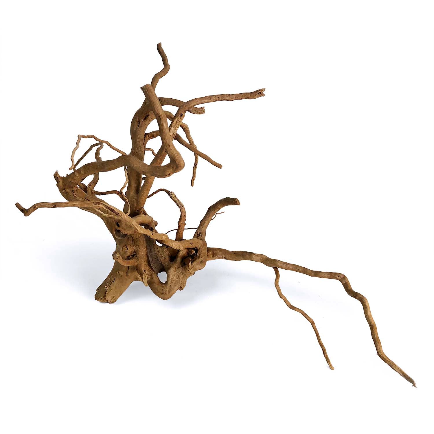 Natural Spider Wood for Aquarium Decor - Unique Driftwood for Fish Tanks, Terrariums & Reptile Habitats - Perfect for Aquascaping, Shrimp Tanks & Natural Habitat Setups