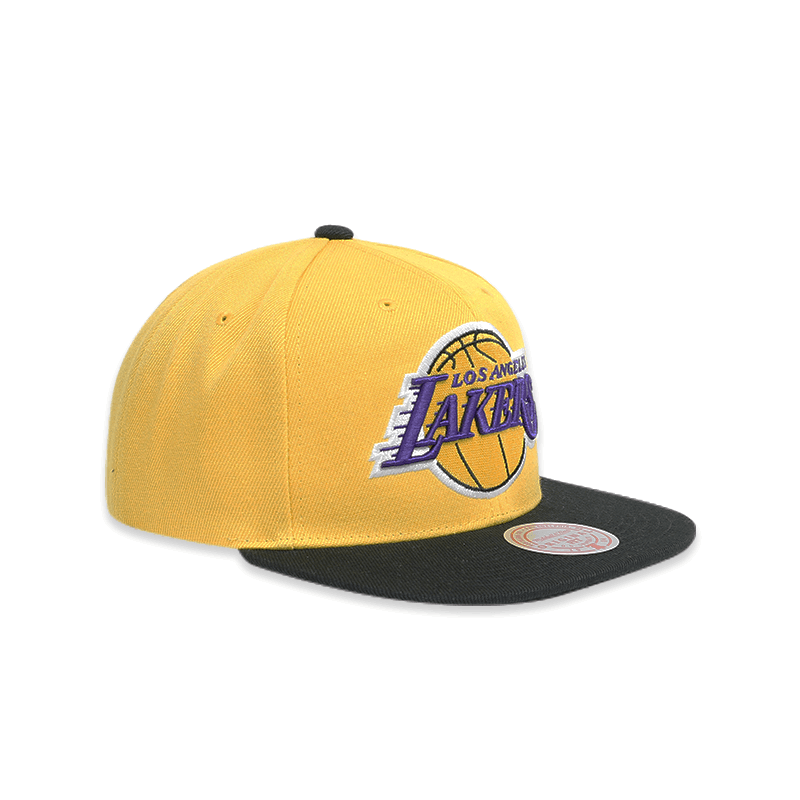 Los Angeles Lakers Core Basics Men's Snapback Hat - Adjustable NBA Basketball Cap for Fans, Streetwear & Casual Outfits