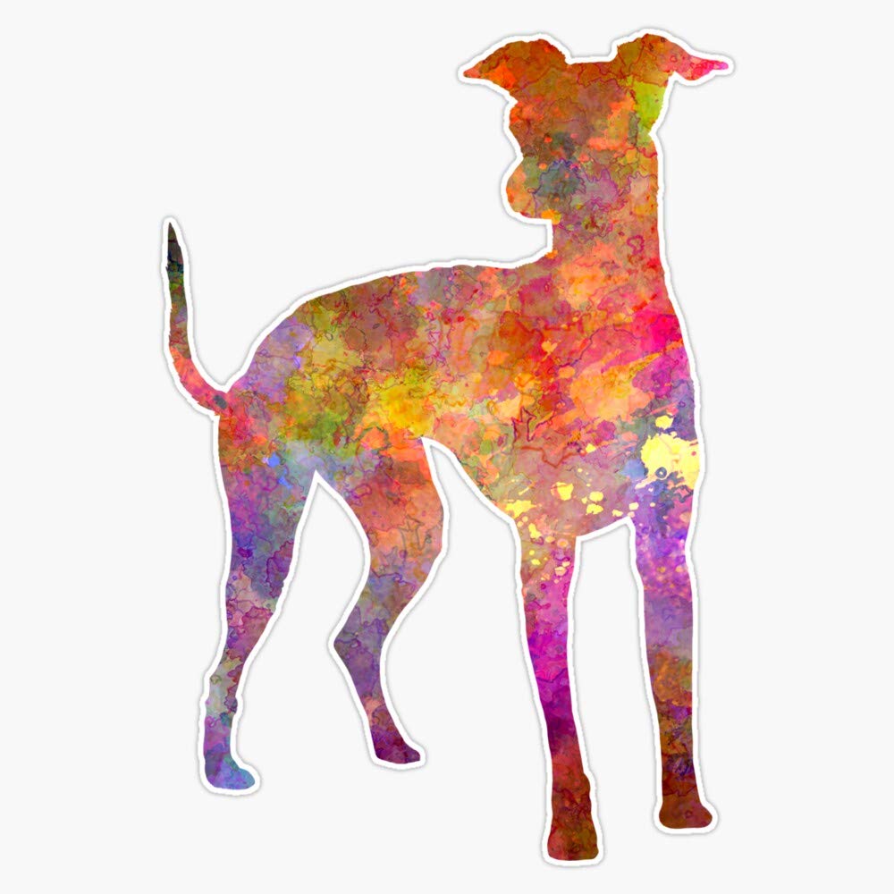 Italian Greyhound Waterproof Vinyl Sticker - 5