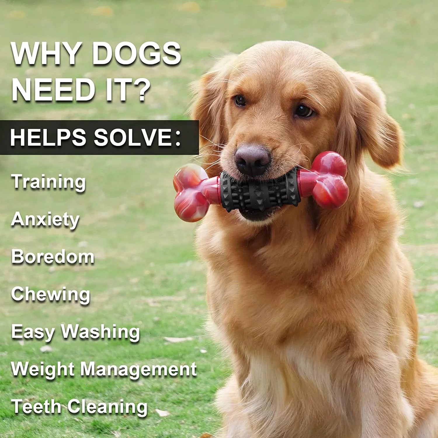 Durable Dog Toys for Aggressive Chewers - Interactive Puzzle Chew Toys for Puppies & Adult Dogs - Tough Rubber Chew Toy for Birthday Gifts - Perfect for Indoor Play & Training