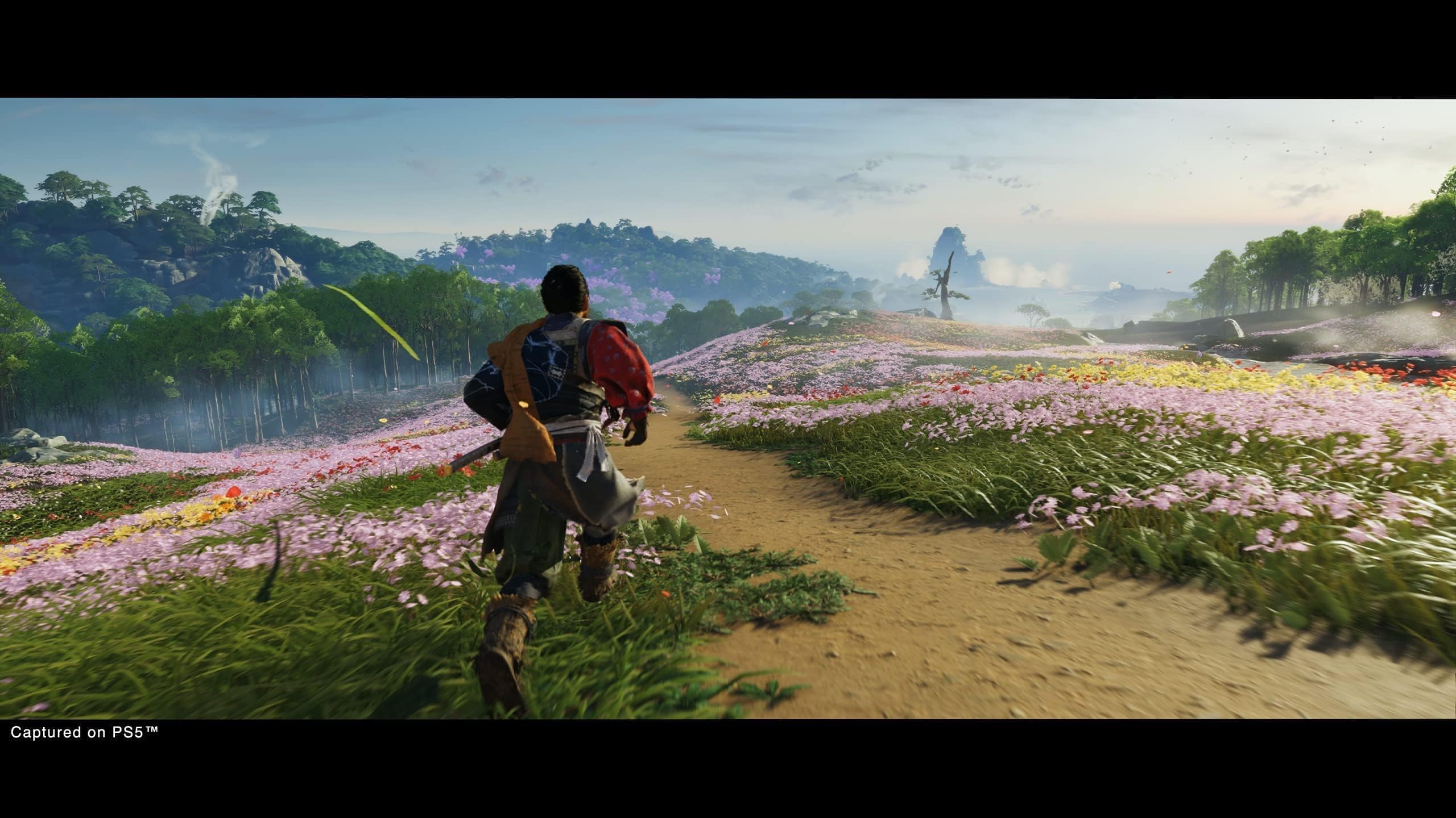 Ghost of Tsushima Director's Cut - PlayStation 5 Game | Action-Adventure Samurai Game | Perfect for PS5 Gamers & Japanese Culture Enthusiasts | Immersive Open-World Experience for Solo Players