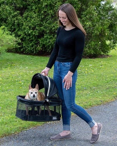 Black View 360° Rotating Pet Carrier & Car Seat for Small Dogs and Cats - Perfect for Travel, Vet Visits, and Road Trips