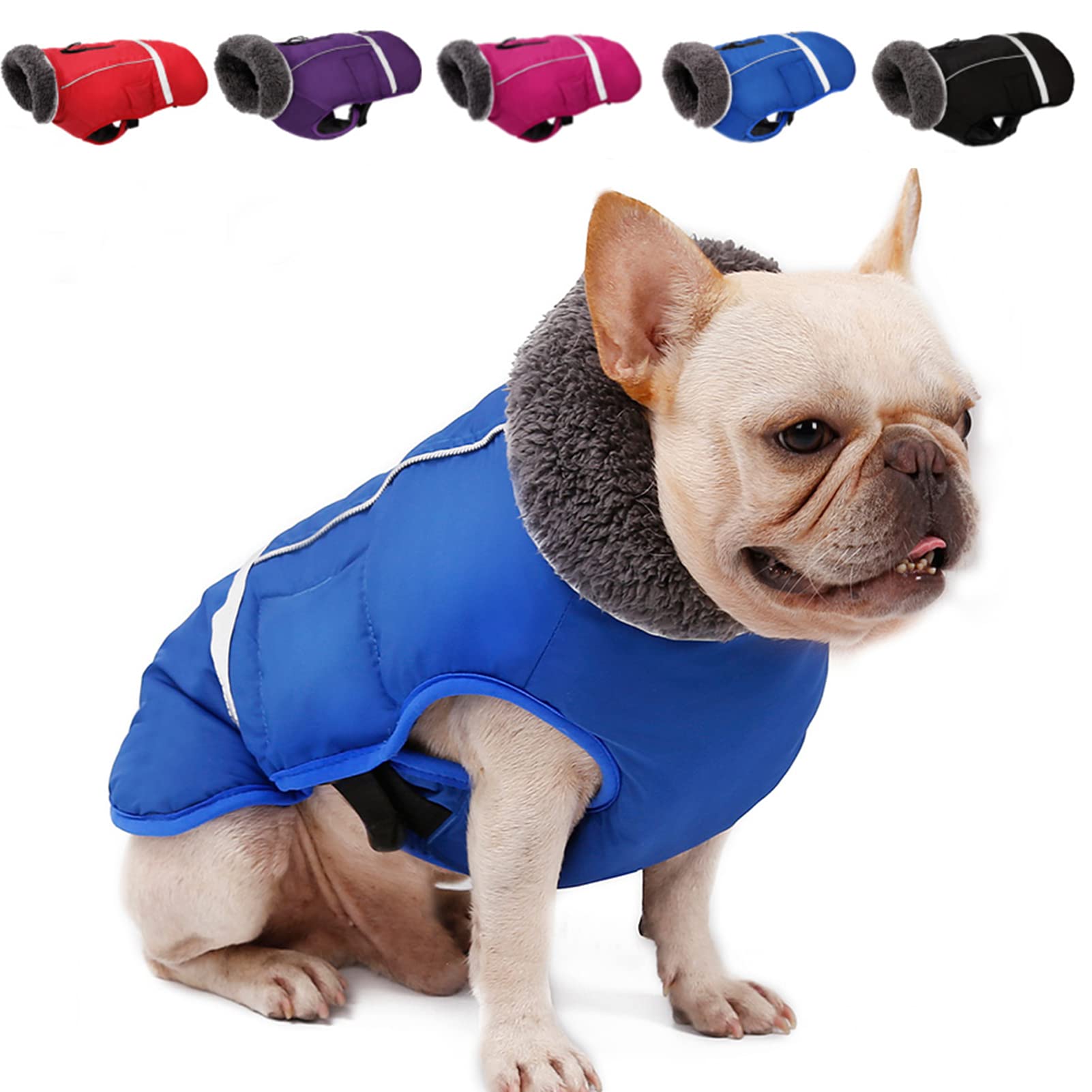 Warm Waterproof Dog Winter Coat with Thick Furry Collar & Fleece Lining - Reflective Adjustable Dog Jacket for Small Medium Large Dogs - Ideal for Cold Weather Walks, Outdoor Adventures & Winter Protection