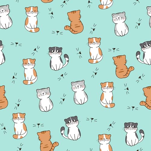 Kitty