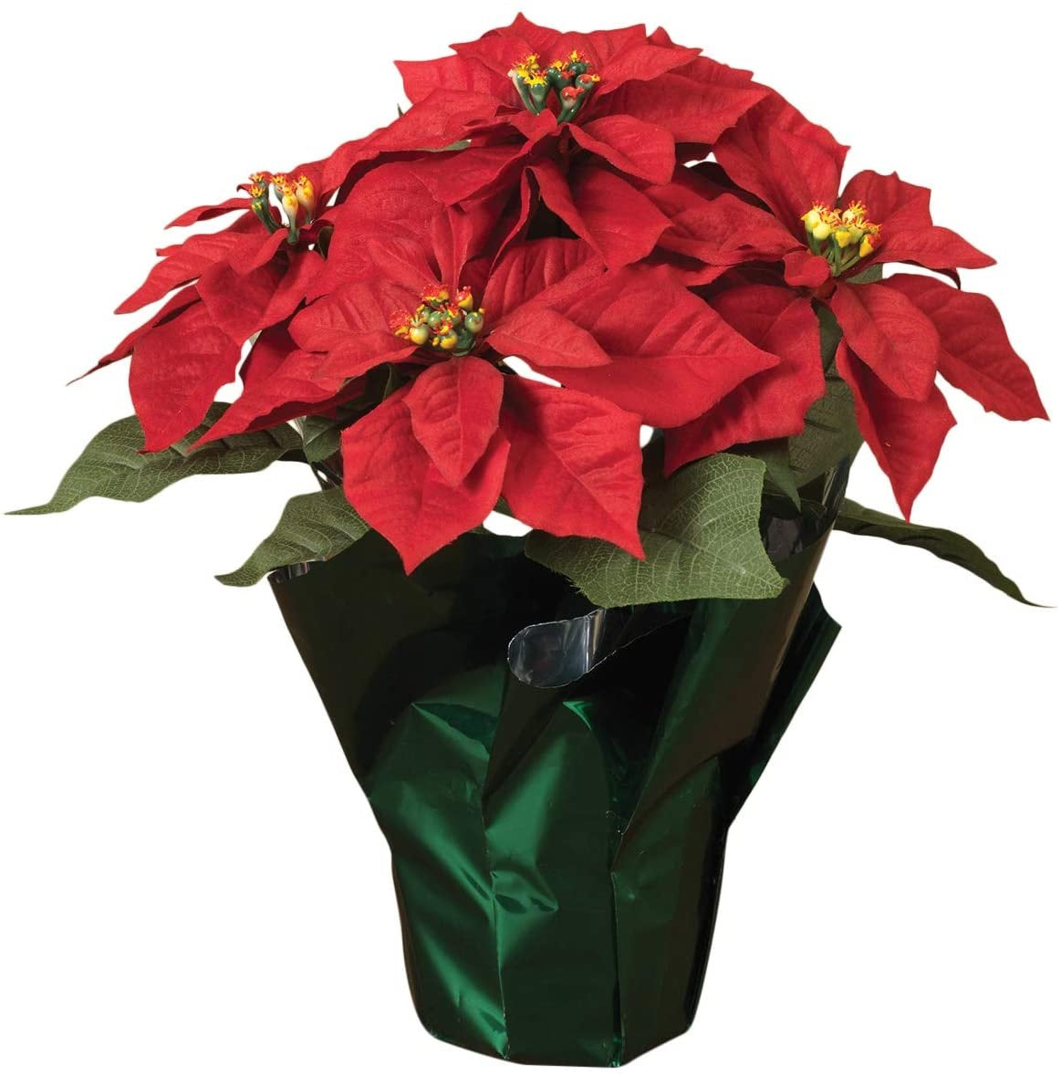 14 Potted Poinsettia Plants in Festive Foil Pots - Perfect for Christmas Decorations, Holiday Gifts & Home Office Decor
