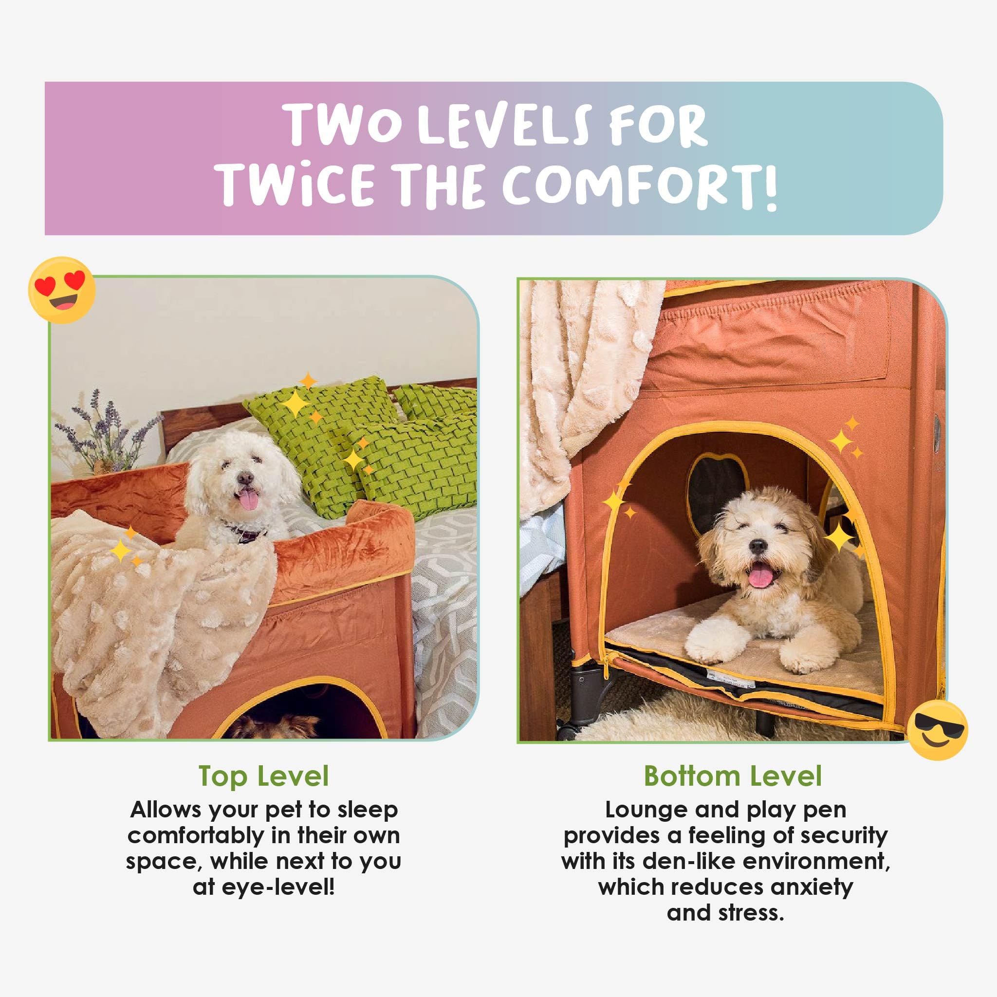 Premium Raised Pet Bed for Cats & Dogs - Lion's Den Design Bunk Bed for Medium Pets (39