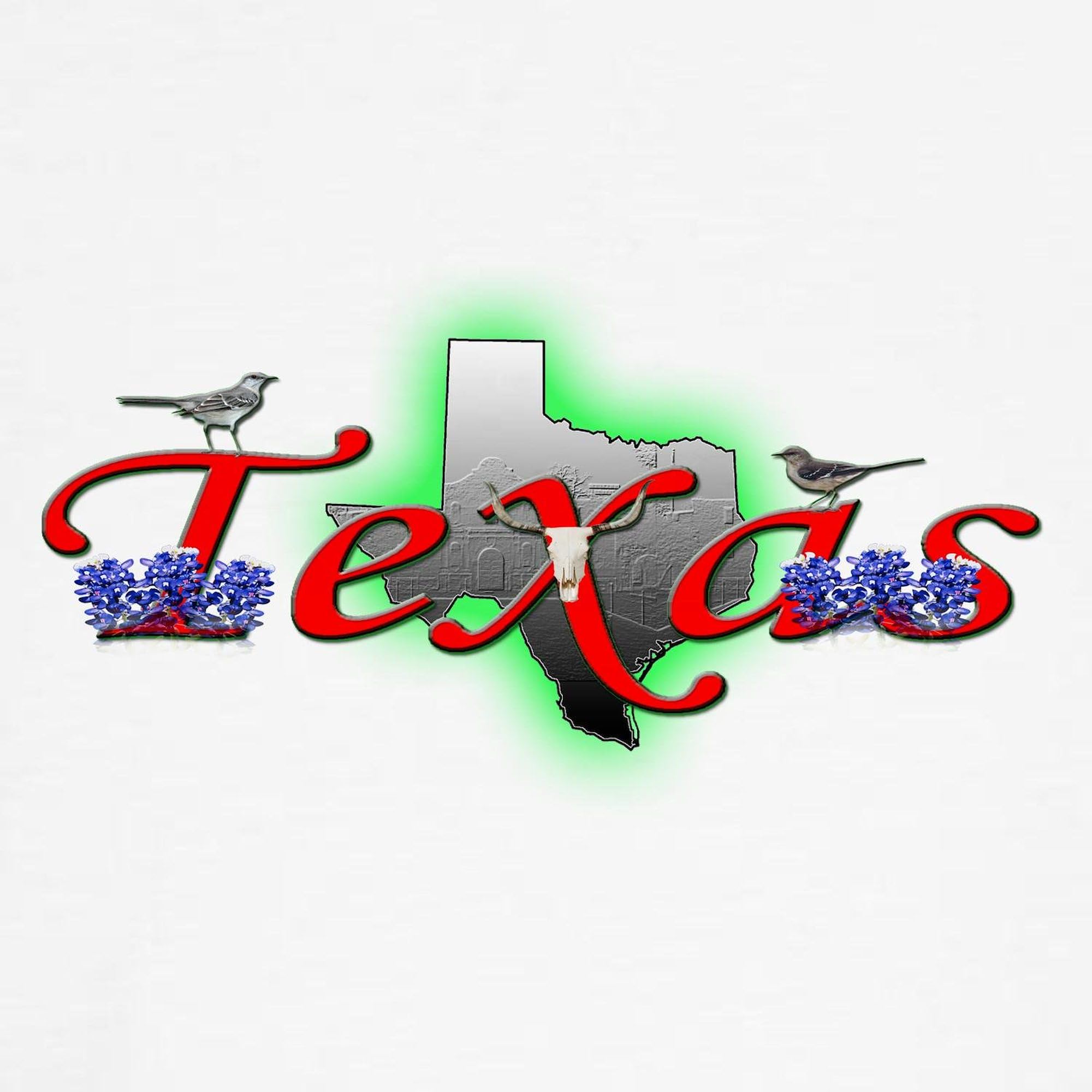 Texas Sweatshirt for Men & Women - Classic Crew Neck Lightweight Pullover Hoodie | Perfect for Casual Wear, College Campuses & Texas Pride Events