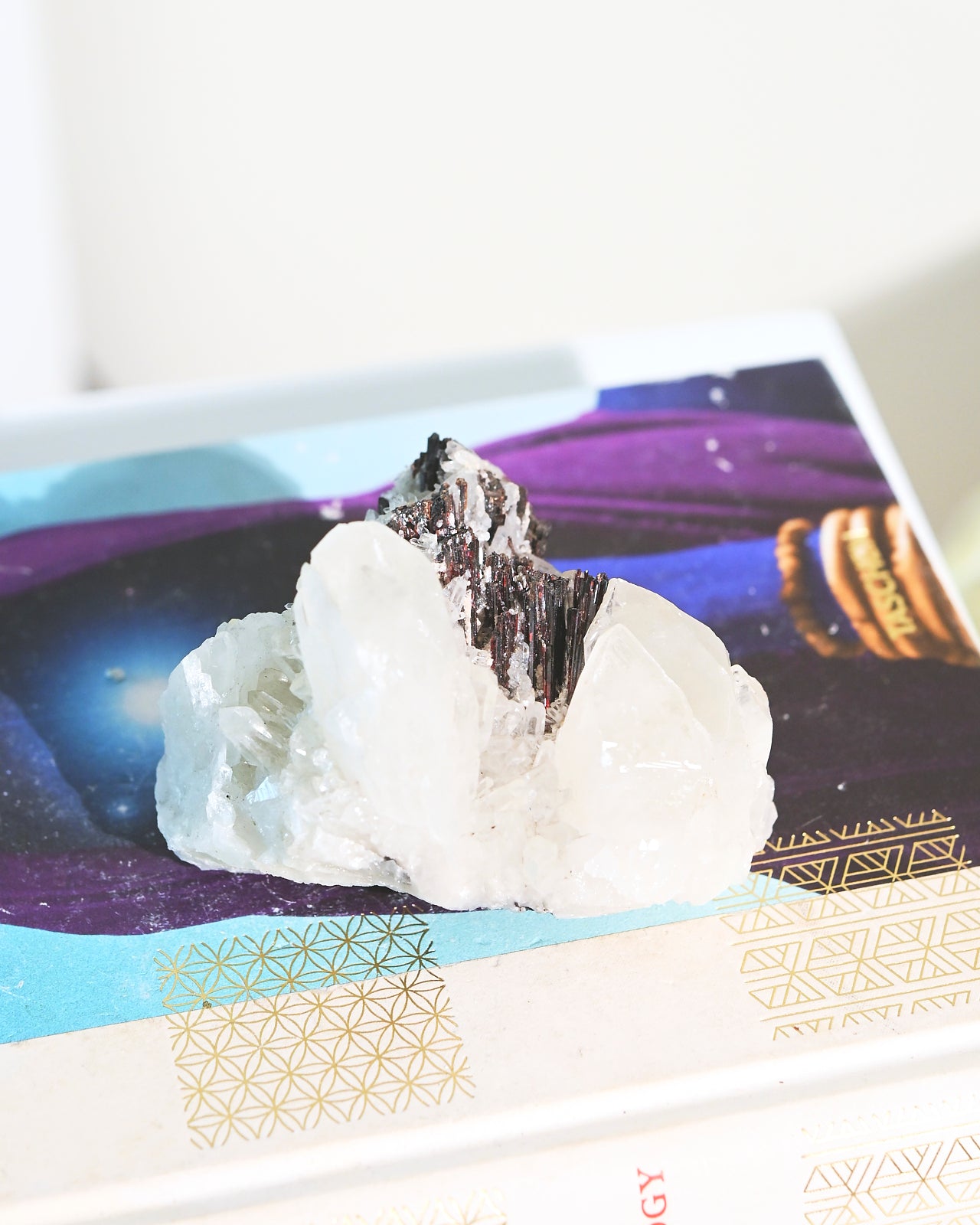 Natural Hubnerite with Quartz Crystal Specimen - 3 Inch Mineral Collection for Healing, Meditation & Home Decor