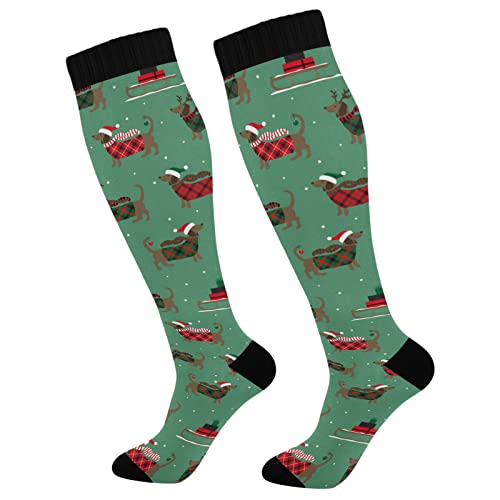 Christmas With Duchshunds