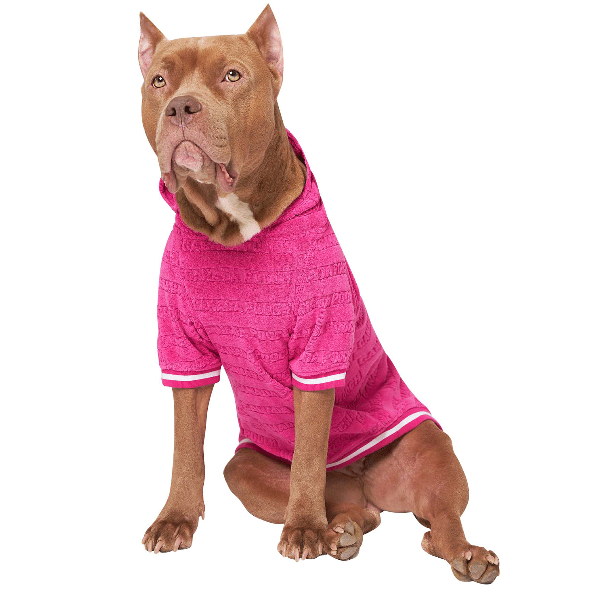 Canada Pooch Beach Bum Towel Hoodie for Dogs - Pink Dog Hooded Towel for Swimming, Bath & Outdoor Adventures - Quick Dry Pet Wear for Beach, Pool & Travel
