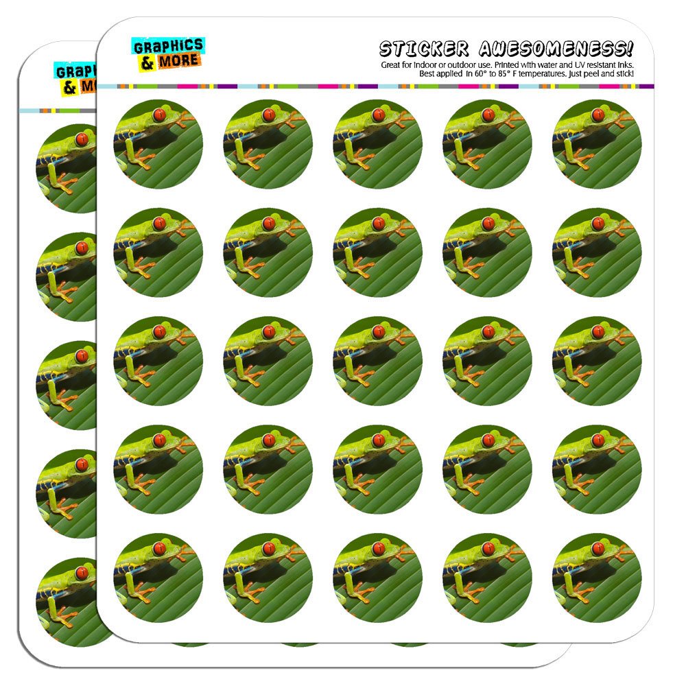 Red Eyed Tree Frog 1 Inch Planner Stickers - Opaque Waterproof Scrapbooking Decals for Bullet Journals, Calendars & DIY Crafts - Perfect for School, Office & Gift Giving