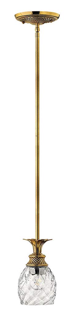 Hinkley Plantation Collection Pineapple Glass Pendant Light - 1-Light Tropical Farmhouse Ceiling Fixture in Burnished Brass for Kitchen Island, Dining Room & Patio Decor