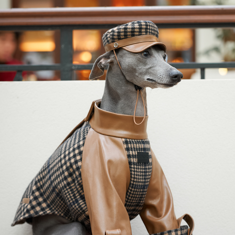Ashwood Dog Hat - Stylish & Comfortable Pet Accessory for Small & Medium Dogs - Perfect for Outdoor Walks, Photos & Special Occasions