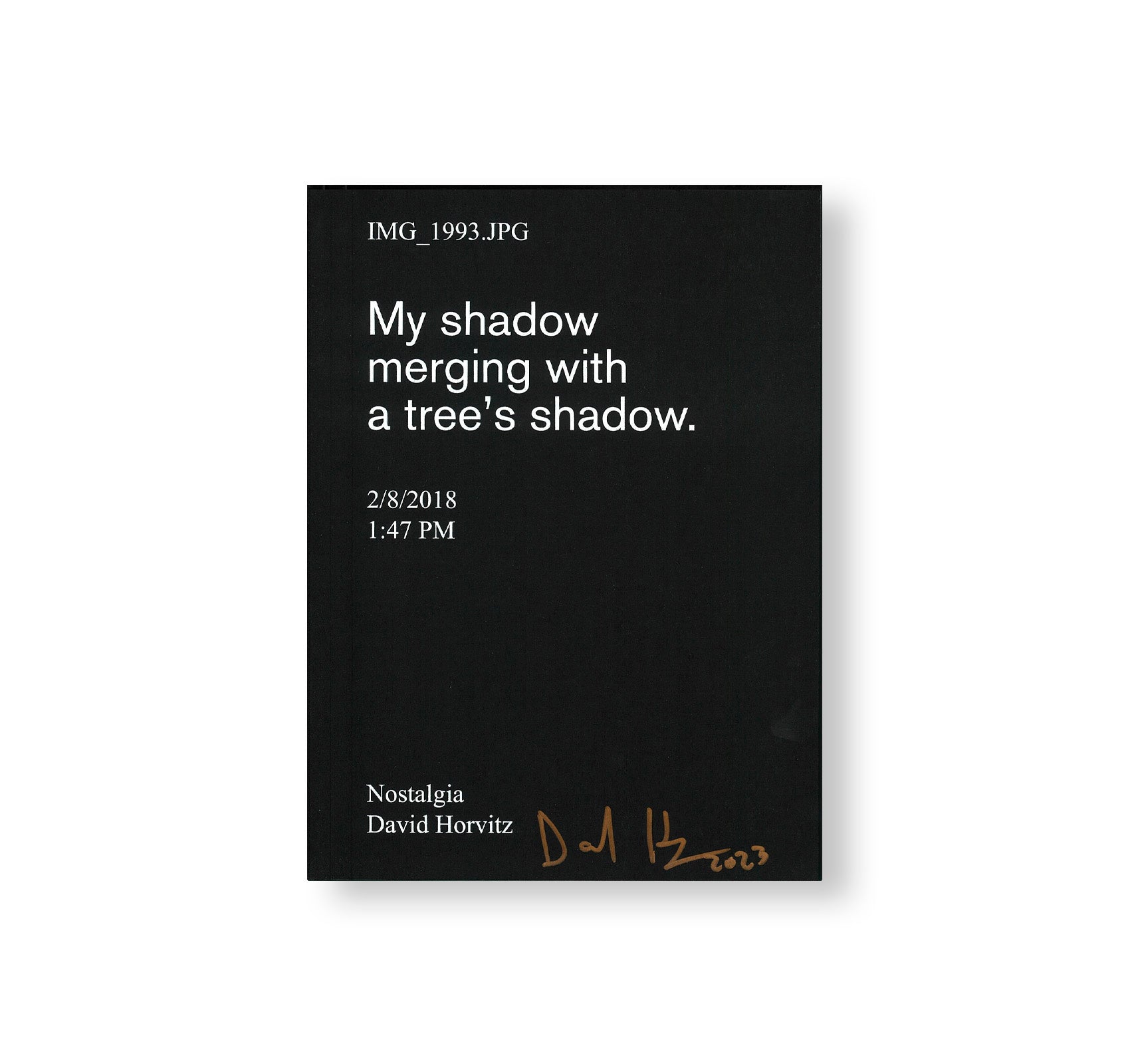 NOSTALGIA (2022) by David Horvitz - Signed Limited Edition Art Book | Perfect for Contemporary Art Collectors & Photography Enthusiasts