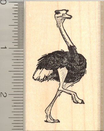 Custom Ostrich Rubber Stamp - Handmade Self-Inking Stamp for Crafting, Scrapbooking & DIY Projects | Perfect for Invitations, Cards & Gift Wrapping