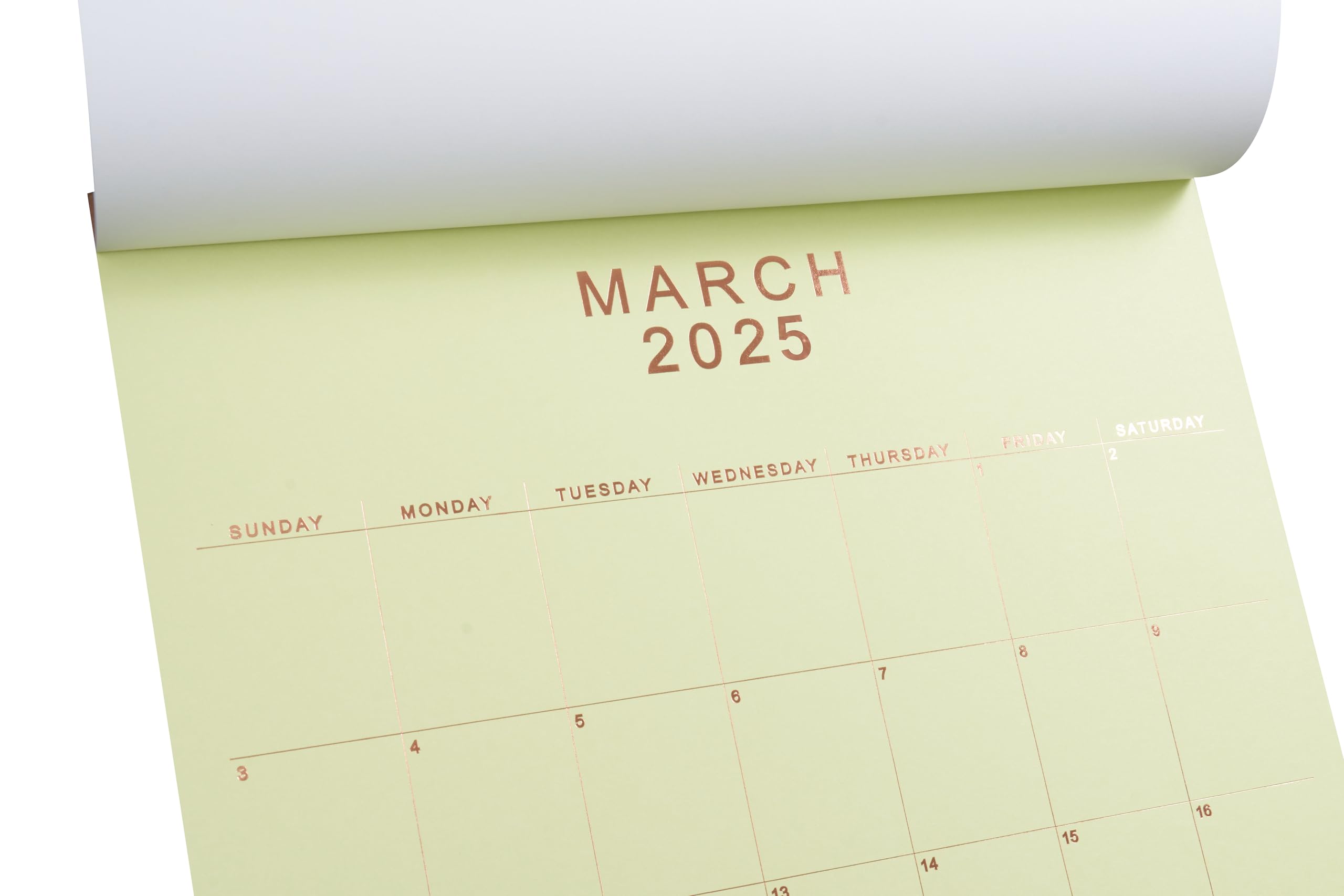 2025 Wall Calendar 12x15 Inches - Elegant Rose Gold Foil Monthly Planner with Peel-Off Pages | Large Print Hanging or Desk Calendar | Pastel Multicolor Paper | Jan-Dec 2025 (5 Colors) - Perfect for Home, Office & Gift Giving