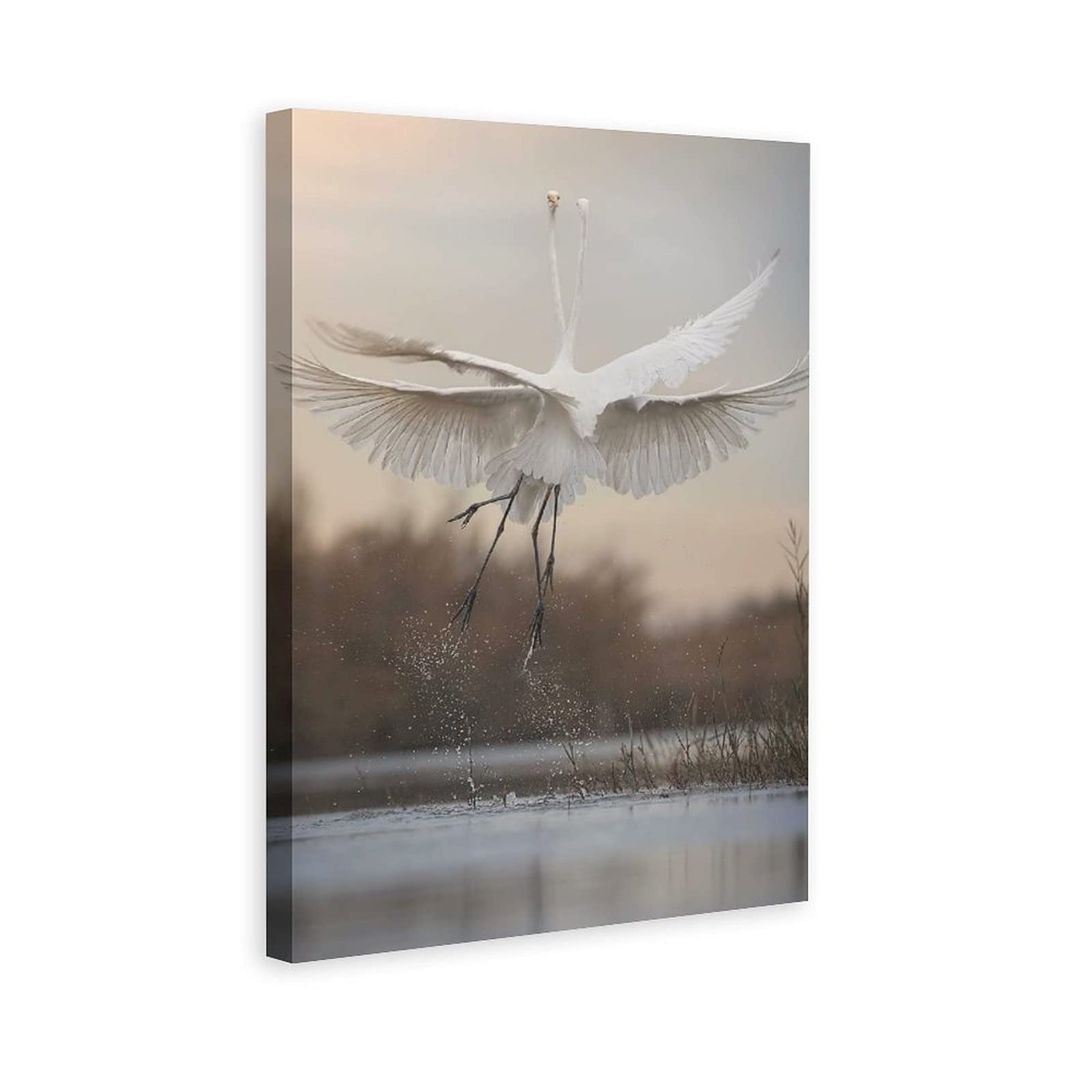 Wild Animals Great Egret Dancing Canvas Wall Art Print - 24x36 Inch Nature Landscape Painting for Living Room, Bedroom & Office Decor | Perfect Gift for Home & Office Decoration | Enhance Your Space with Stunning Wildlife Art