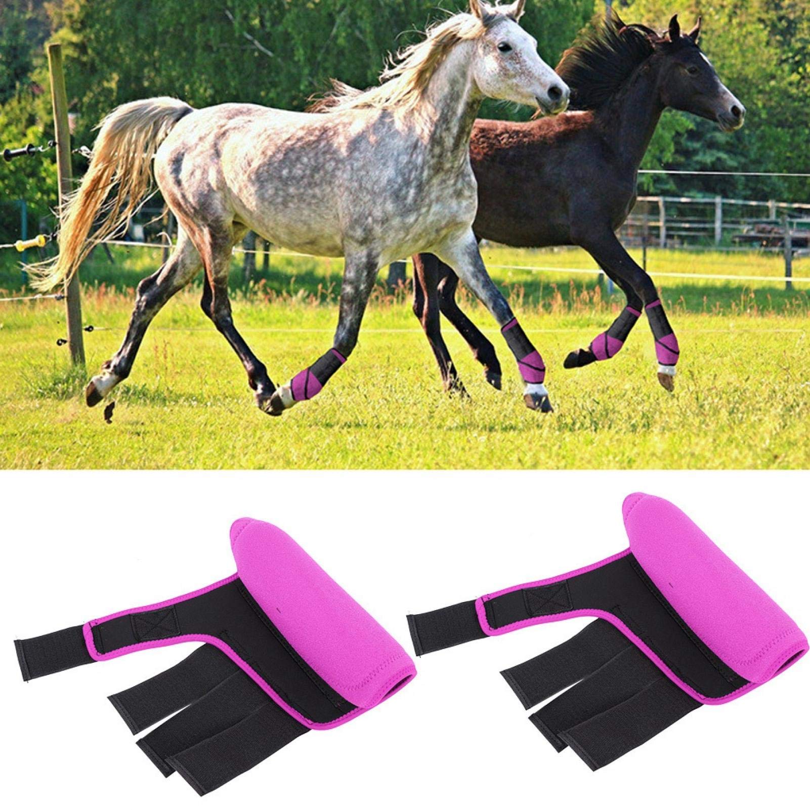 OUKENS Adjustable Horse Splint Leg Boots - Pair for Protection & Support | Equestrian Leg Wraps for Training, Jumping & Riding | Durable Horse Equipment for Injury Prevention