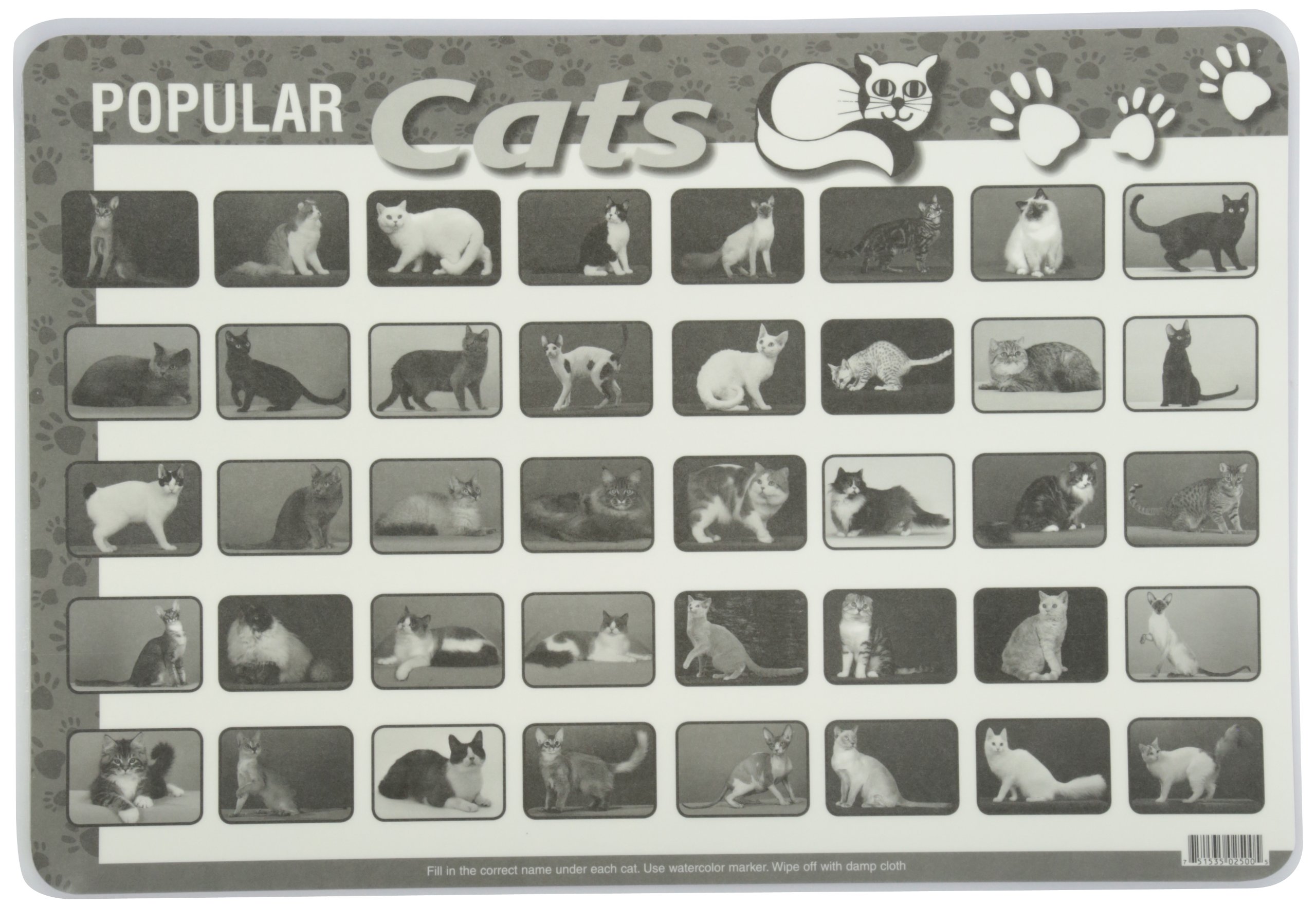Painless Learning Popular Cats Placemats - Large Non-Slip Placemat Set for Dining Table, Kitchen, Office Desk | Cute Cat-Themed Home Decor for Cat Lovers