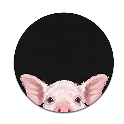 Baby Pig (1)