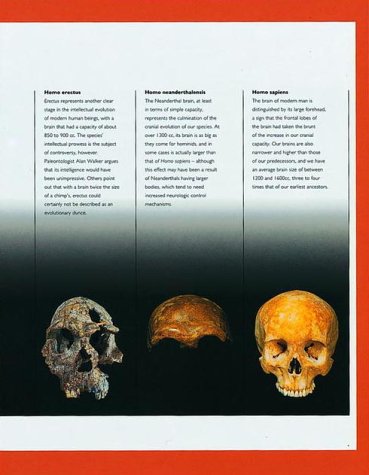 Dawn of Man: The Story of Human Evolution - Perfect for History Buffs, Science Enthusiasts & Classroom Learning