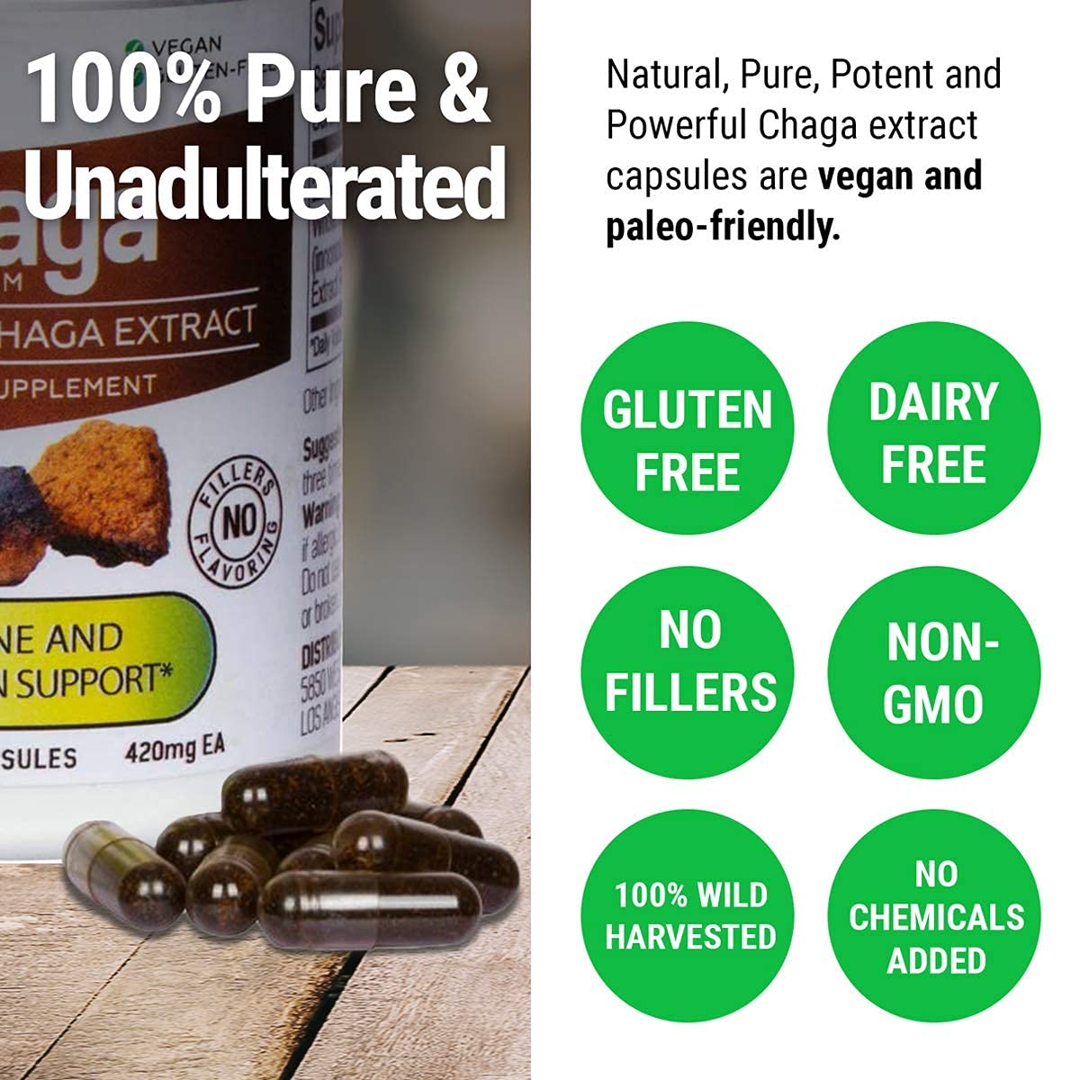 Organic Chaga Mushroom Supplements - 1lb Raw Chaga Powder, 90 Capsules & 20 Tea Bags | Immune Support, Antioxidant Boost | Perfect for Morning Tea, Wellness Routines & Natural Energy