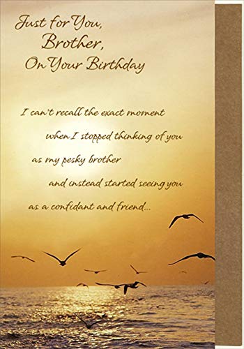 Designer Greetings Seagulls Flying Over Ocean Birthday Card for Brother - Funny I Can't Recall Card - Perfect for Brother's Birthday, Anniversary & Special Occasions