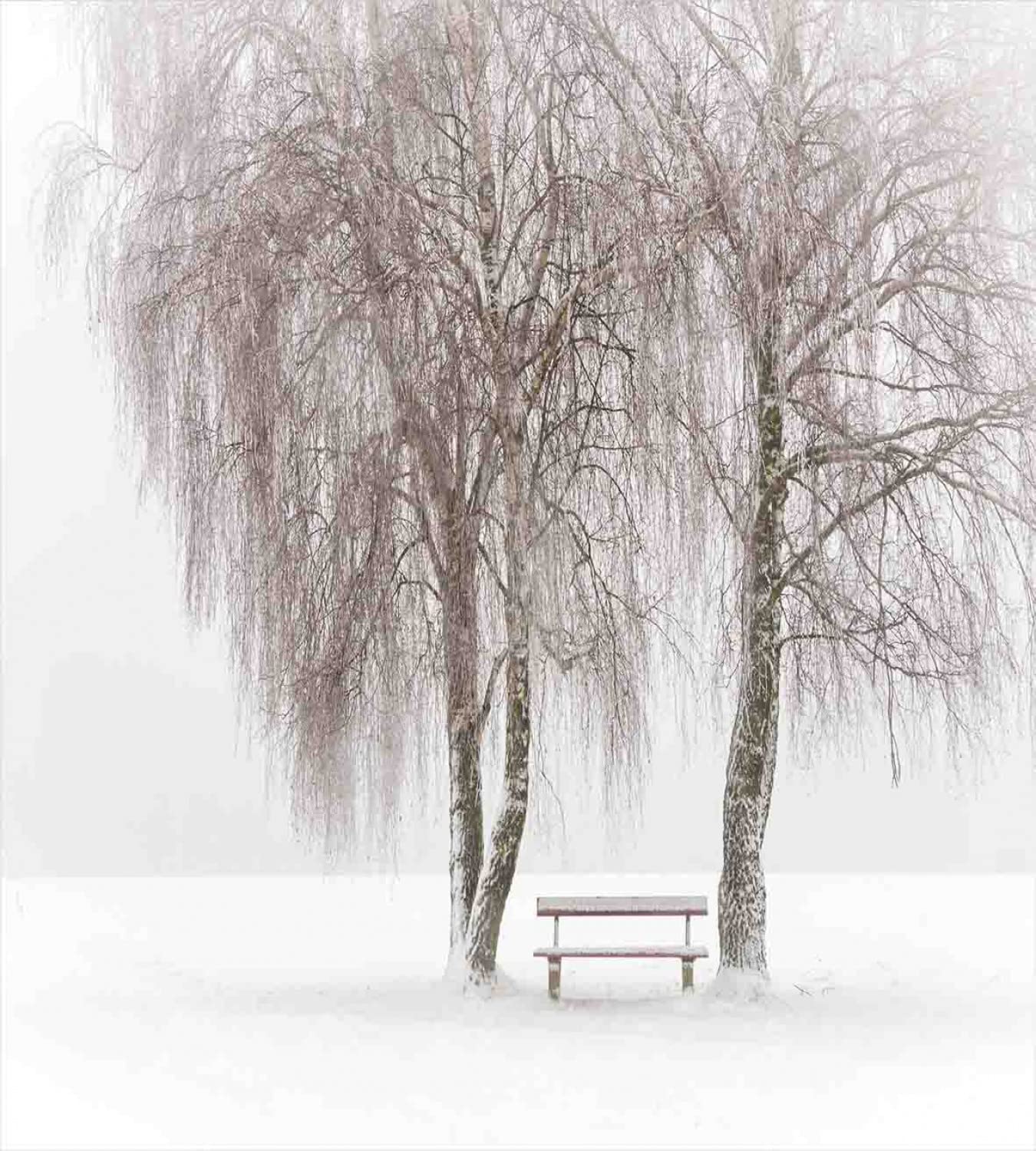 Ambesonne Winter Duvet Cover Set - Snowy Park Bench Design with Blizzard Holiday Scene - Twin Size 2-Piece Bedding Set (2 Duvet Covers + 2 Pillowcases) in White & Brown - Cozy Winter Bedroom Decor for Cold Weather Comfort