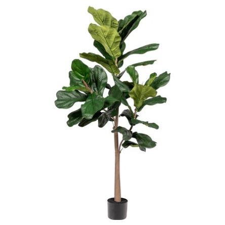 5' Fiddle Leaf Fig Tree - UV Treated Indoor Plant for Home & Office Decor - Perfect for Living Room, Bedroom, and Workspace Greenery