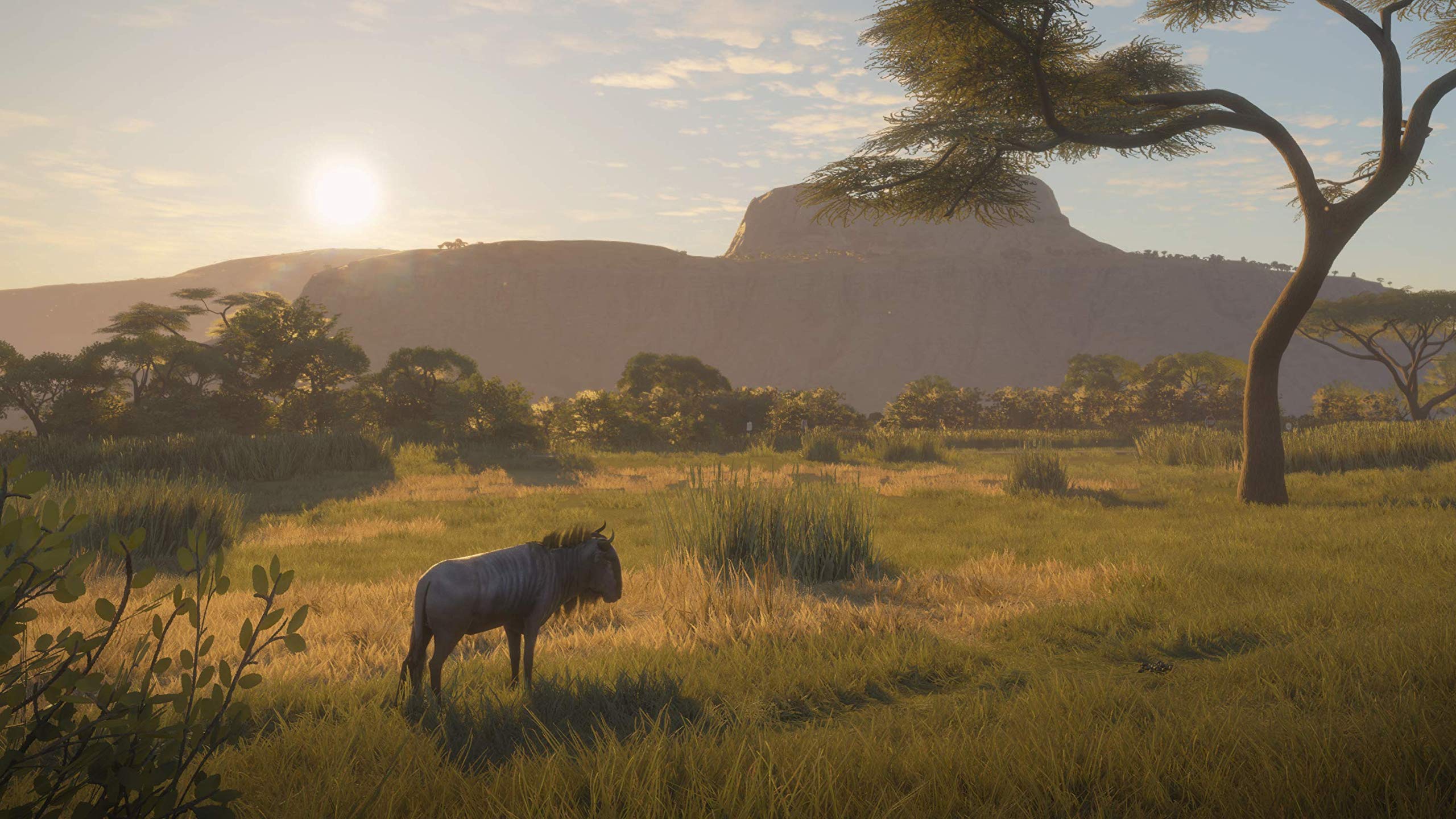 TheHunter: Call of the Wild - 2019 Edition (Renewed) for Xbox One | Open World Hunting Simulation Game | Perfect for Outdoor Enthusiasts & Nature Lovers