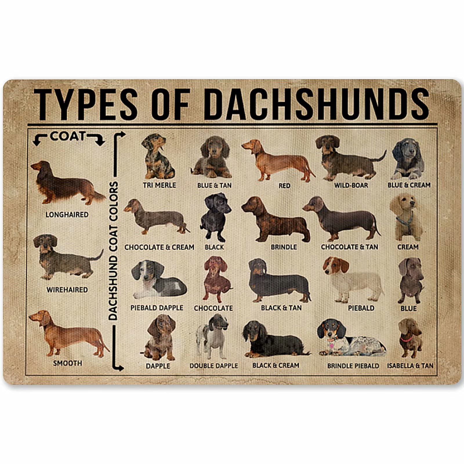 Types of Dachshunds Metal Poster - 12x17 Inch Wall Art Decor for Dog Lovers, Home & Office Room Decoration - Perfect for Animal Lovers Gift & Veterinary Clinic Display
