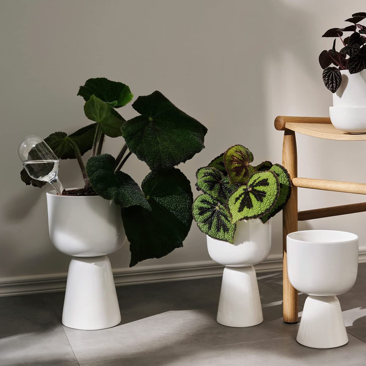 Iittala Nappula Large White Ceramic Plant Pot - 12.5