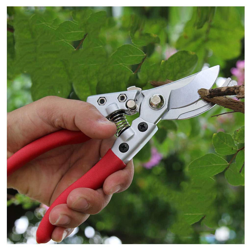 Professional Garden Pruning Shears - Sharp Bypass Pruner for Flowers & Branches | Manual Branch Trimmer & Plant Scissors | Ergonomic Red Gardening Tools for Women | Perfect for Trimming Roses, Shrubs & Indoor Plants