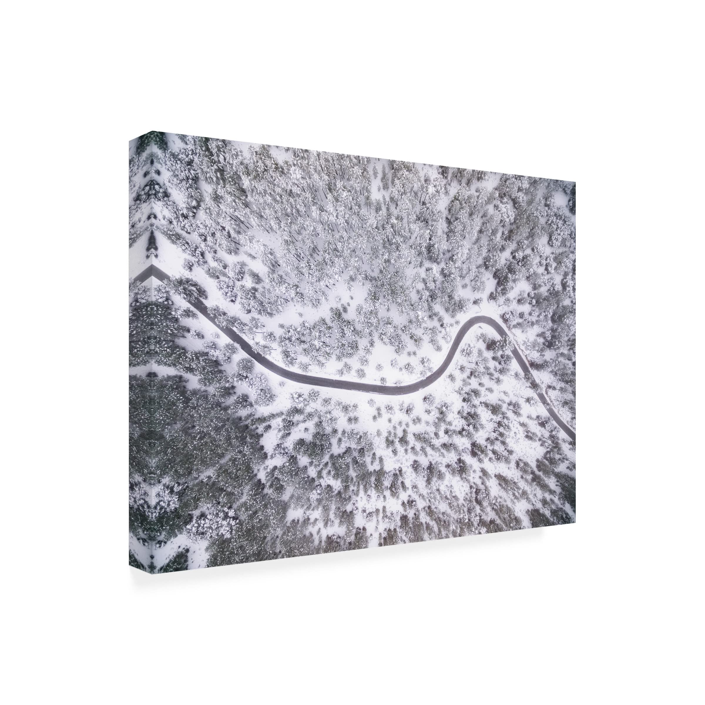 Trademark Fine Art 'Winter Is Coming' Canvas Wall Art Print by Antonio Carrillo Lopez - Perfect for Living Room, Bedroom & Office Decor