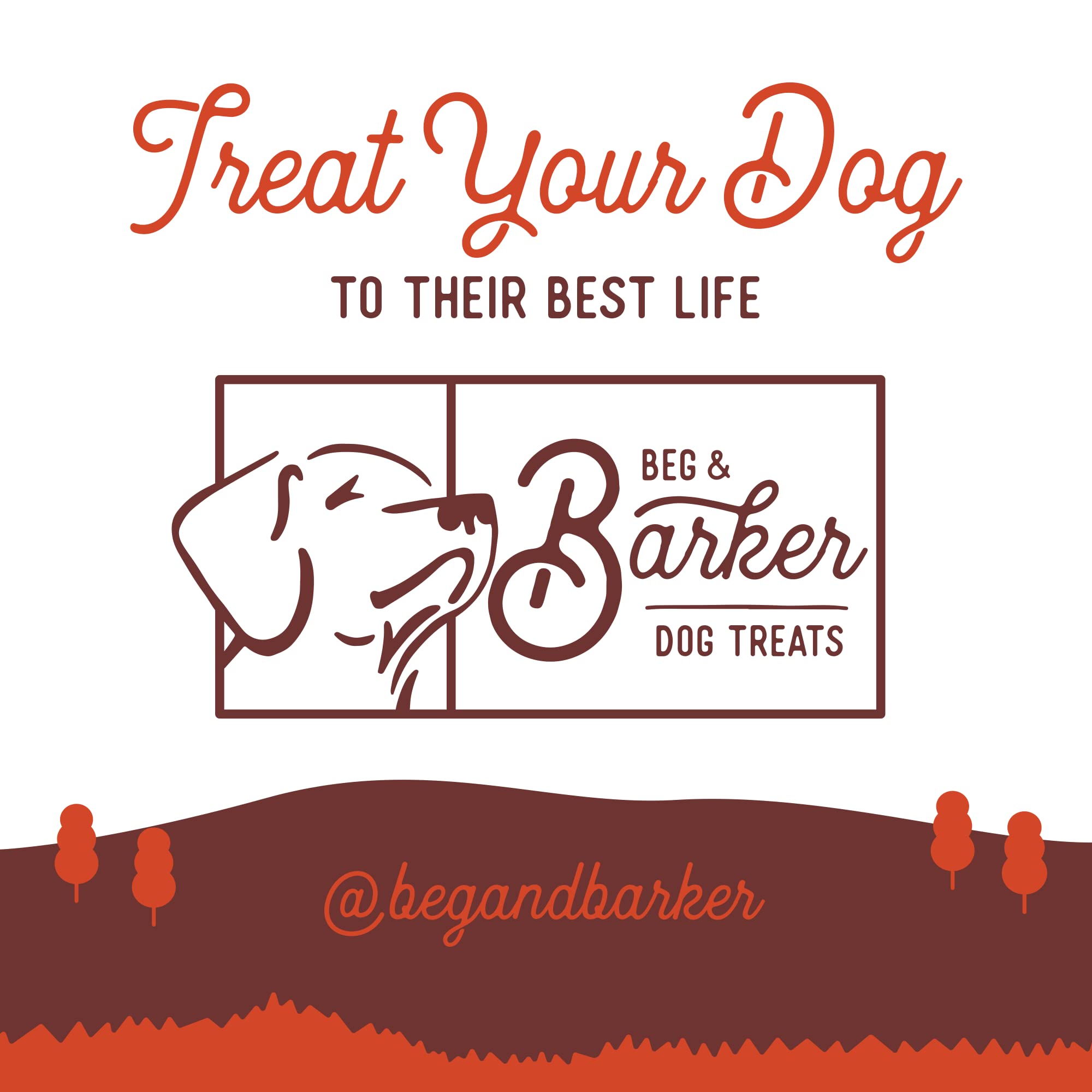 Beg & Barker Pork Jerky for Dogs - 10oz (Pack of 2) | Grain Free, High Protein Dog Treats | Made in USA | Natural Training Rewards for Puppies & Adult Dogs | Perfect for Obedience Training, Travel & Outdoor Adventures