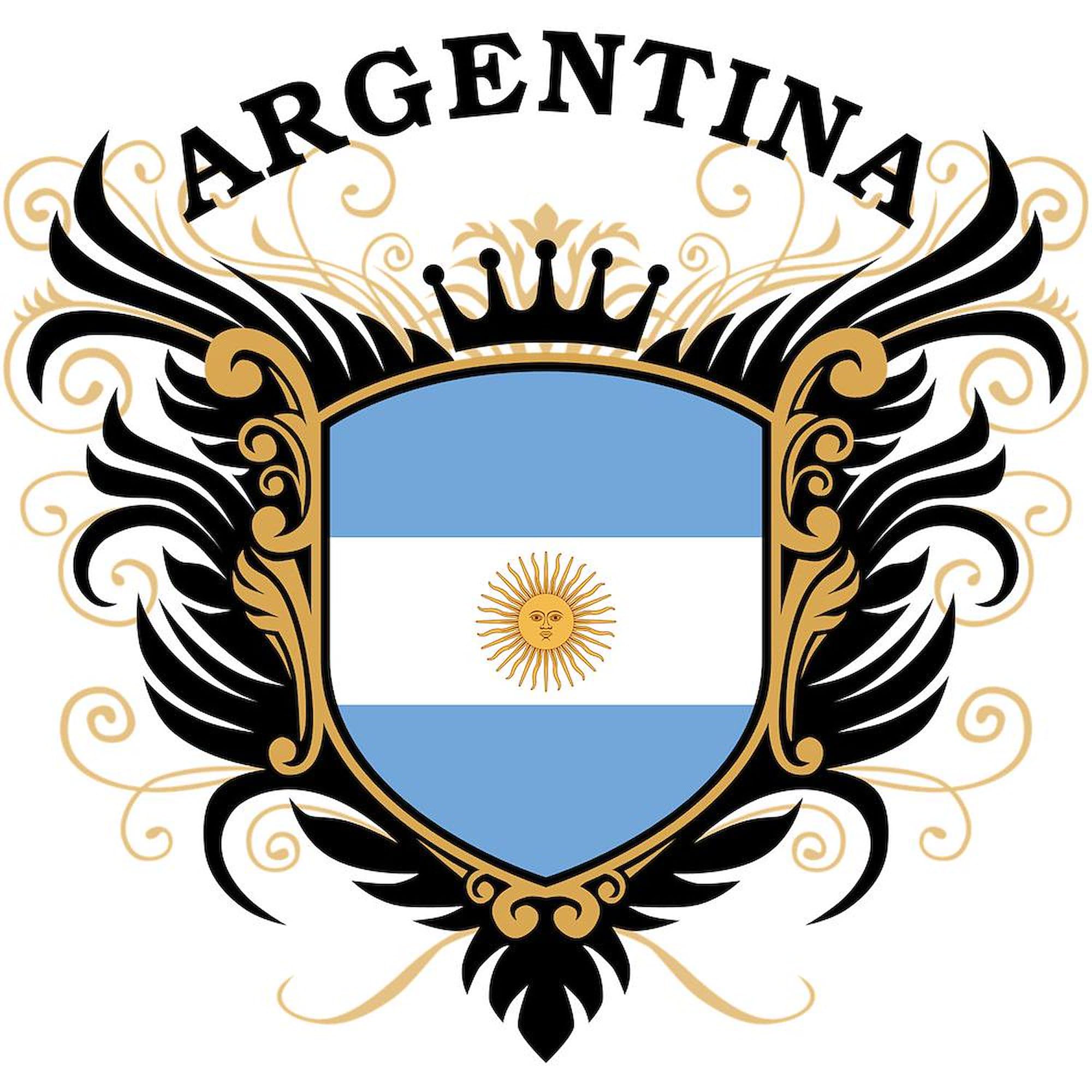 Argentina Themed 11 oz (325 ml) Ceramic Coffee Mug - Perfect for Tea, Hot Chocolate & Office Use - Unique Gift for Soccer Fans & Travel Lovers