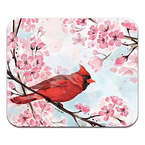 Red Cardinal Bird in Spring