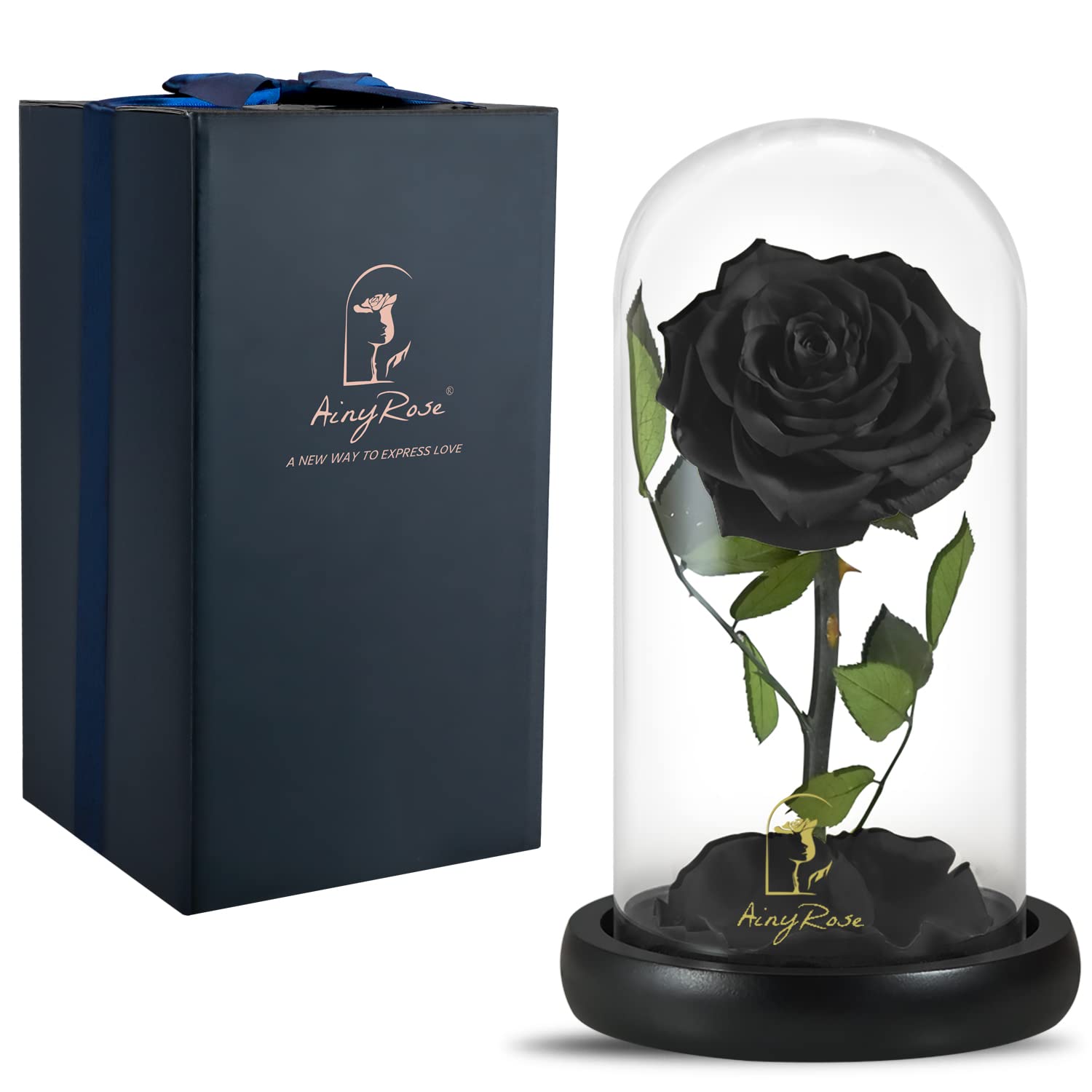 Forever Preserved Real Black Rose in Glass Dome - Eternal Flower Gift for Women, Mom, Valentine's Day, Mother's Day, Christmas & Anniversary | Romantic Home Decor & Thoughtful Present