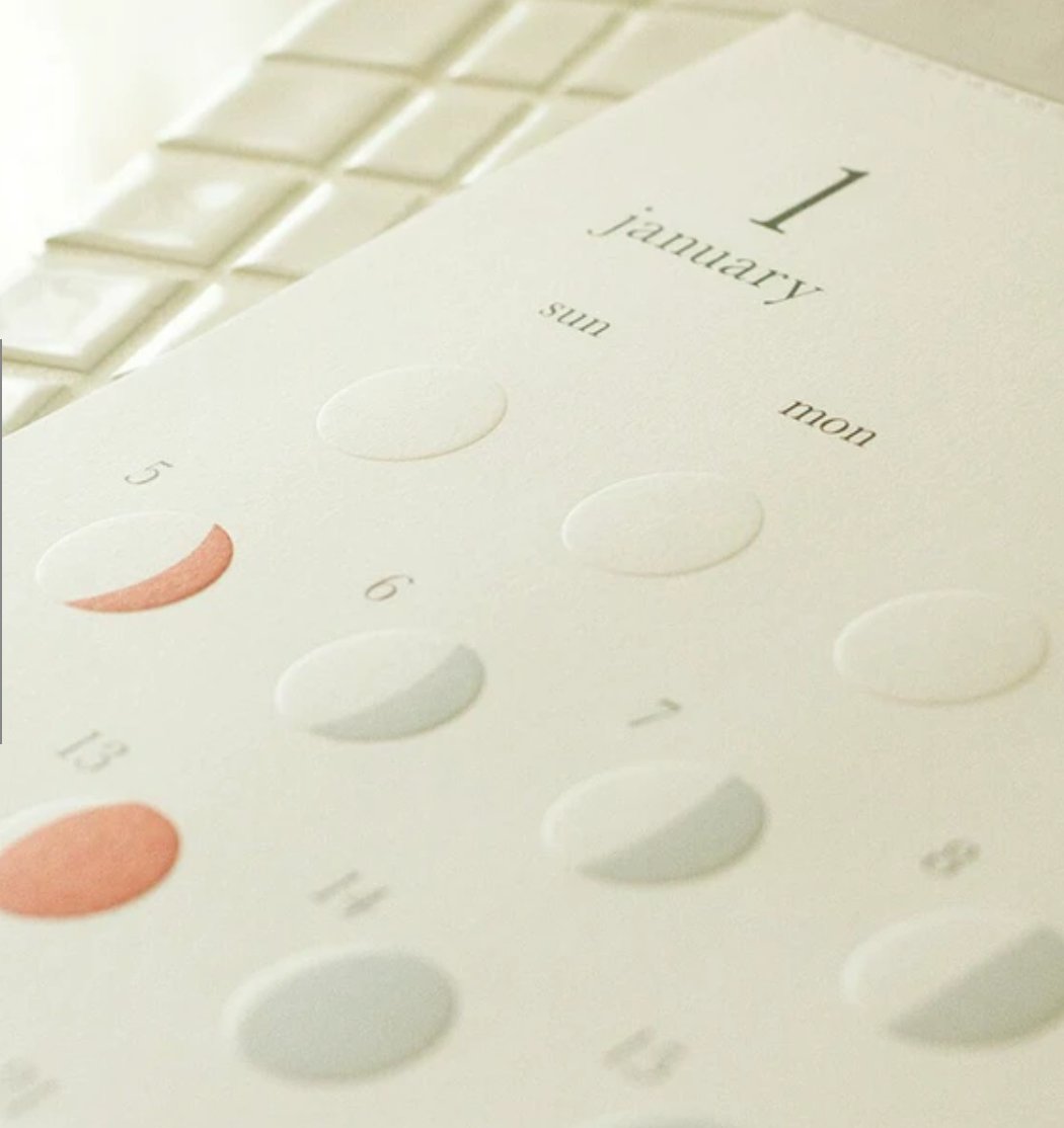 2025 Moon Calendar Michiru - Lunar Phases Planner & Astrology Guide | Perfect for Home Decor, Gift Ideas & Spiritual Practices